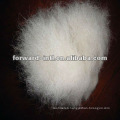 Fine Dehaired Cashmere Fibre White Inner Mongolian Fiber